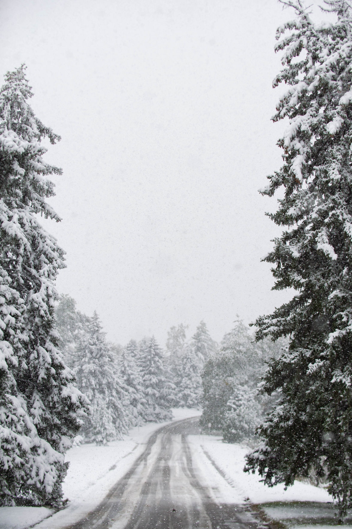Snow features, 10/14